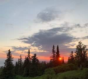 sunset behind the trees