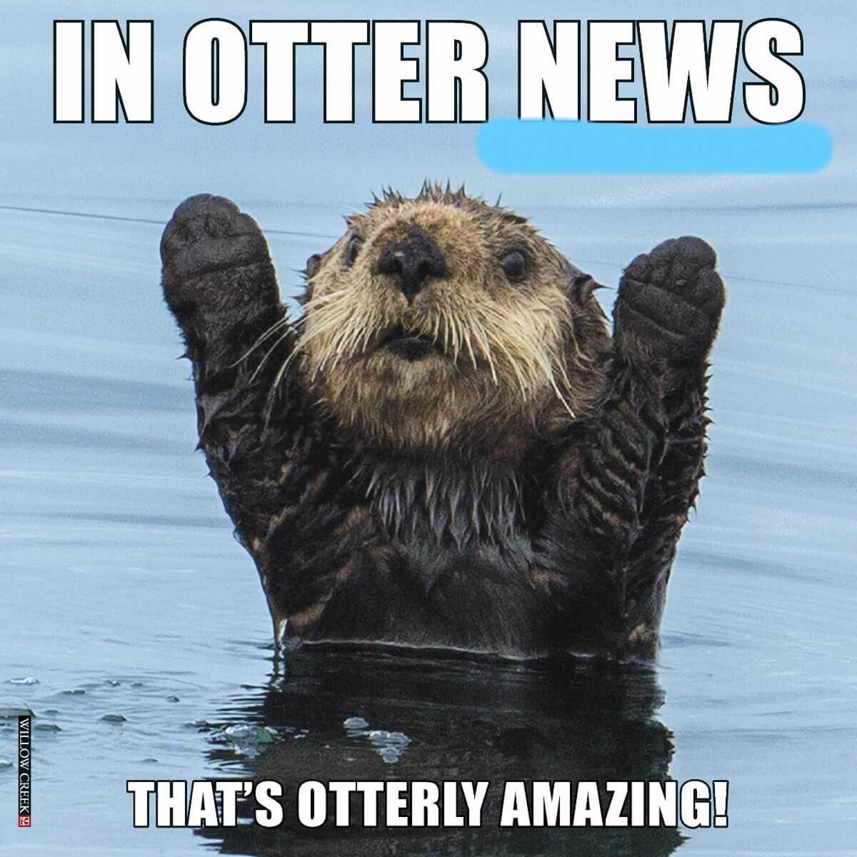 Insurance Center Alaska | ottermeme